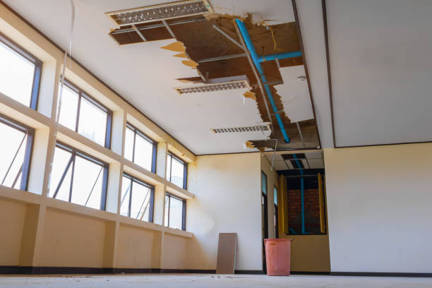 Best Carpet water damage restoration  in Hoback, WY