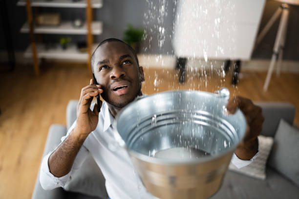 Best Water damage contractors near me  in Hoback, WY