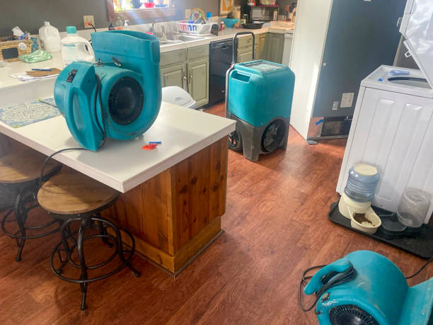 Best Water damage restoration near me  in Hoback, WY