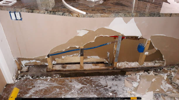 Best Local water damage restoration  in Hoback, WY