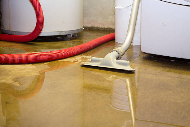 Trusted Hoback, WY Water damage restoration Experts