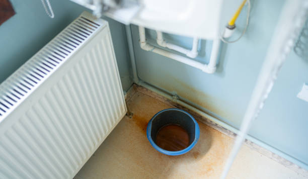 Best Water damage cleanup near me  in Hoback, WY