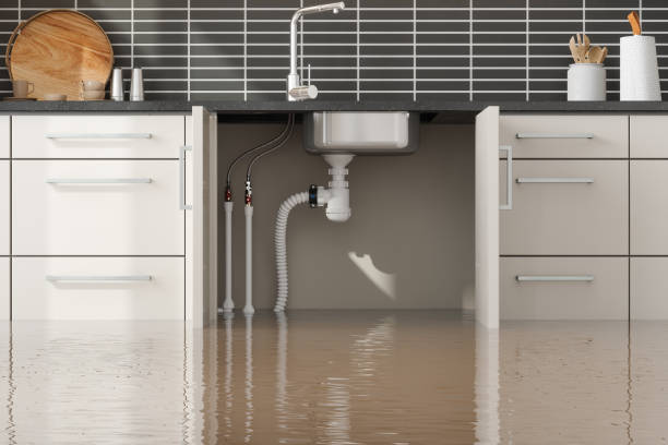 Best Local water damage restoration  in Hoback, WY