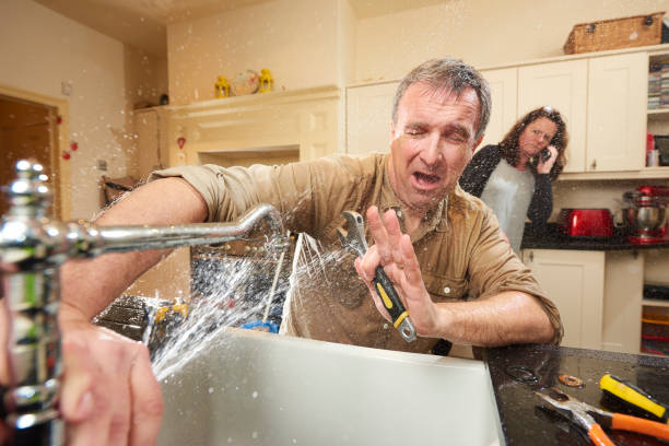 Best Professional water damage repair  in Hoback, WY